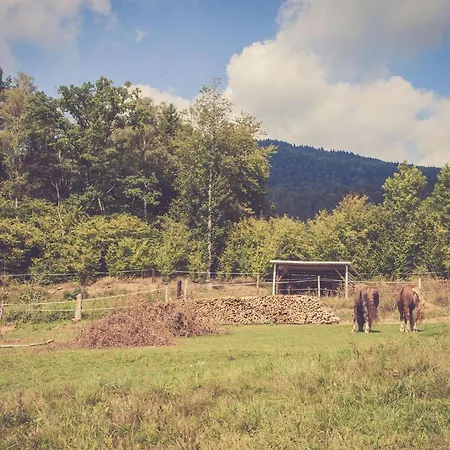 Wirtshof * Hohenwarth